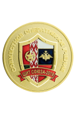 Медаль «Совместное оперативное учение «Щит Союза – 2019»