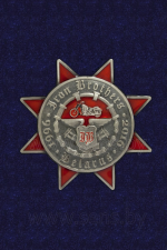 Значок «Iron brothers Belarus»