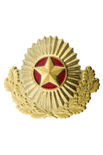 Кокарда Вооруженных Сил Республики Беларусь