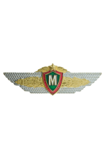 Знак «Класс офицера Вооружённых Сил Республики Беларусь»